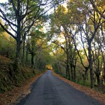 Ribeira sacra
