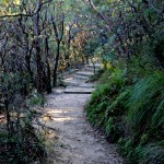 Blue Mountains
