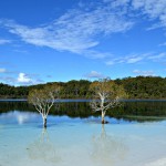 lake McKenzie