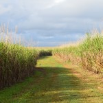 Queensland