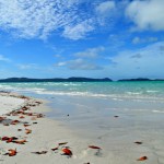 Whitsundays