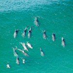 Byron Bay