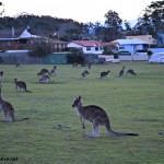 Dalmeny