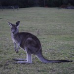 Dalmeny