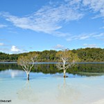Fraser Island, lake McKenzie