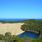 Fraser island