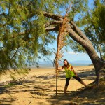 Dingo beach