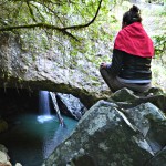 Springbrook mountains