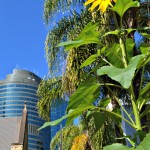 Brisbane