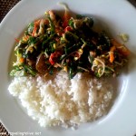 SAYUR URAB( shrimps paste,chilli, coconut and vegetables) with rice