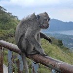 Batur volcano