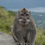 Batur volcano